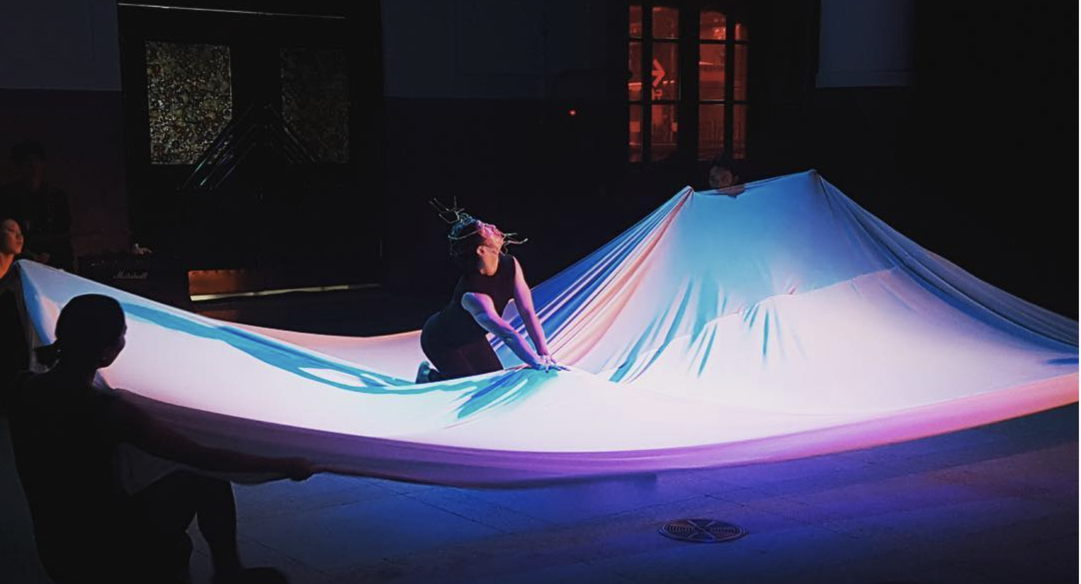 남은 한조각의 세계 (2017)