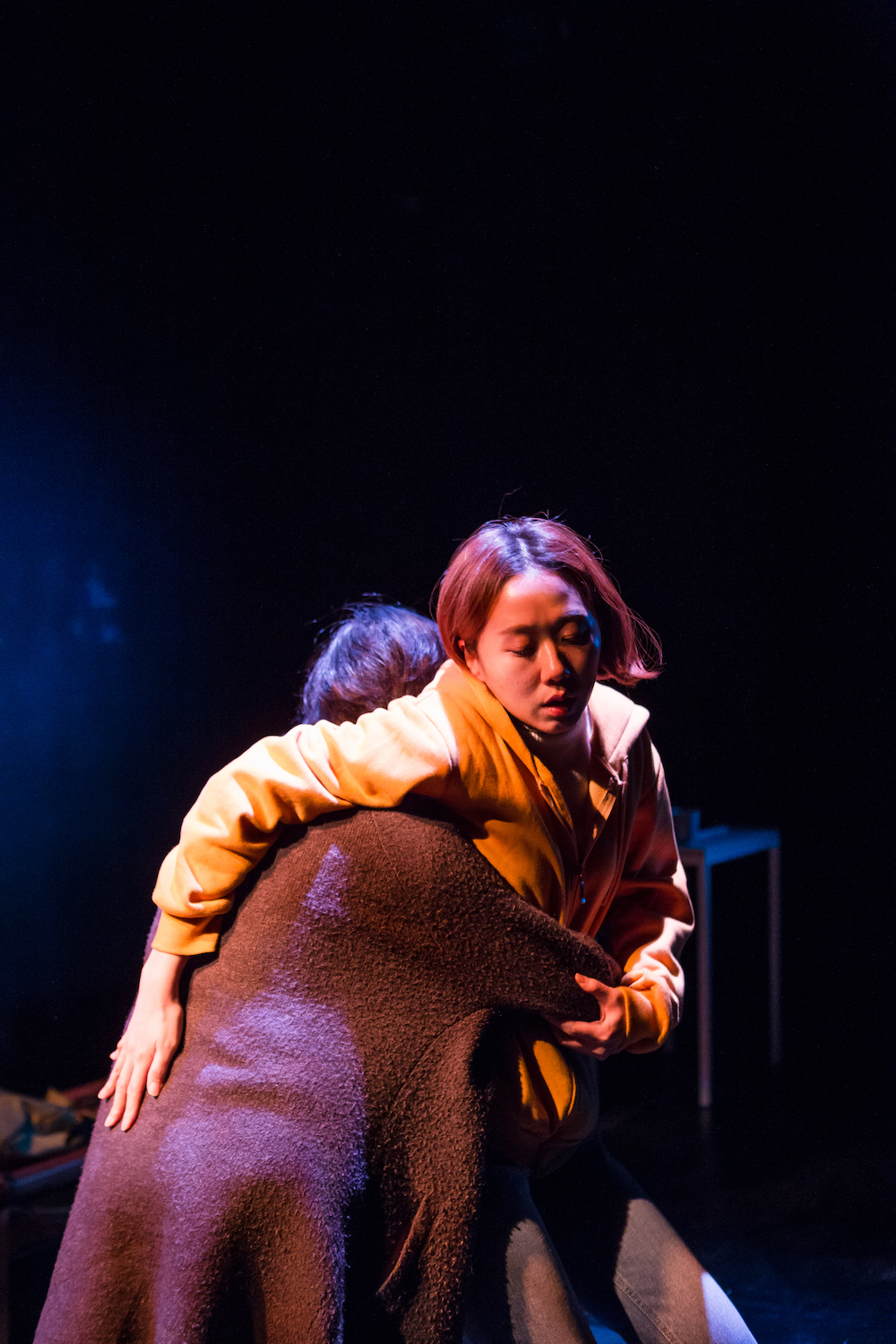 산책자의 행복 (2019)