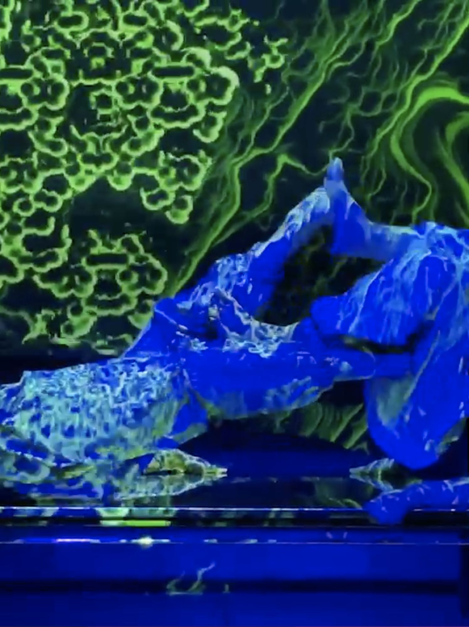 더스트 (Dust) (2022)